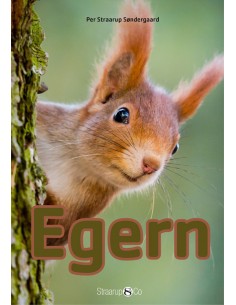 Egern