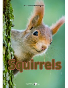 Squirrels