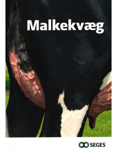 Malkekvæg