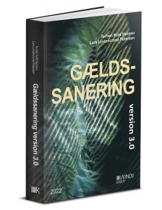 Gældssanering version 3.0