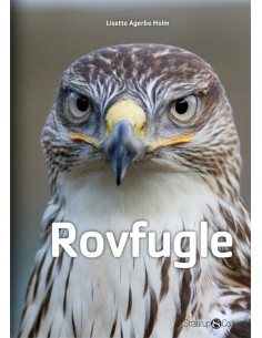 Rovfugle