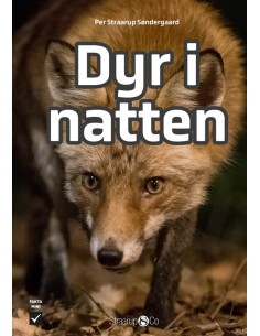 Dyr i natten