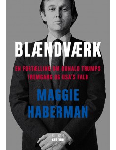 Blændværk - En fortælling...