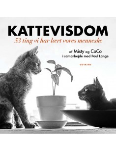 Kattevisdom