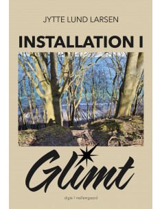 Installation i glimt