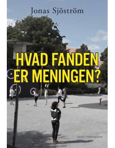 Hvad fanden er meningen?