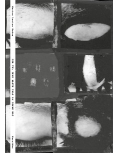 DER VIL IKKE BLIVE TALT OM...