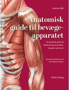 Anatomisk guide til...