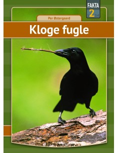 Kloge fugle