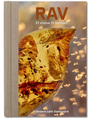 RAV - Et vindue til fortiden