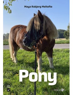 Pony