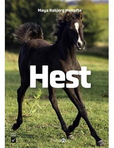 Hest