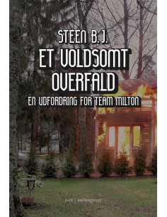 Et voldsomt overfald