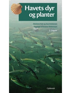 Havets dyr og planter