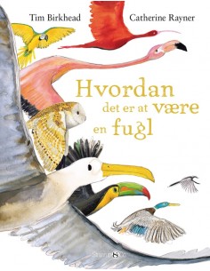 Hvordan det er at være en fugl