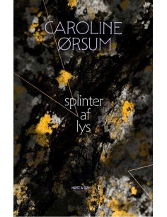 splinter af lys