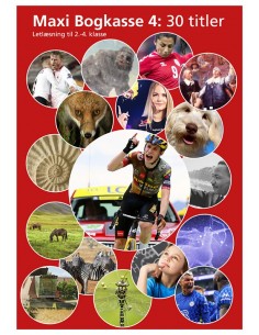 Maxi Bogkasse 4