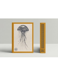 GRAFIK 1998-2022 (DK)