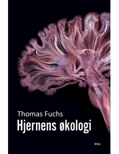 Hjernens økologi