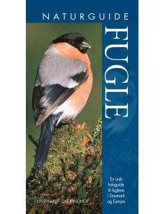 Naturguide Fugle