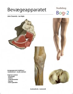 Bevægeapparatet - Bog2