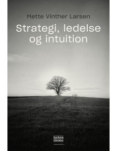 Strategi, ledelse og intuition
