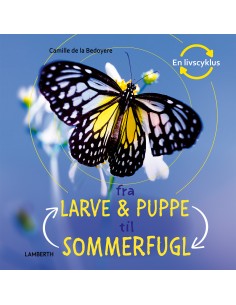 Fra larve og puppe til...