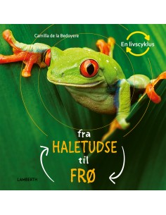 Fra haletudse til frø