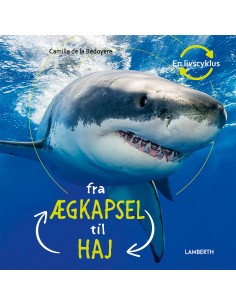 Fra ægkapsel til haj