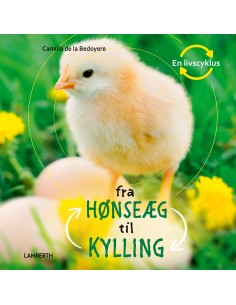 Fra hønseæg til kylling