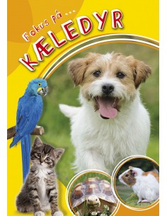 Fokus på ... kæledyr