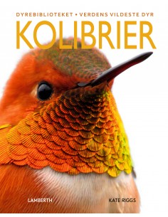 Kolibrier