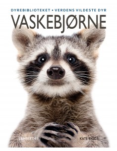 Vaskebjørne