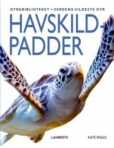 Havskildpadder