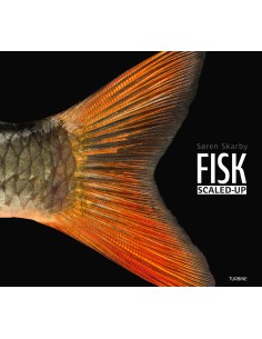 FISK – scaled-up