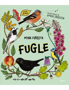 Mine første fugle