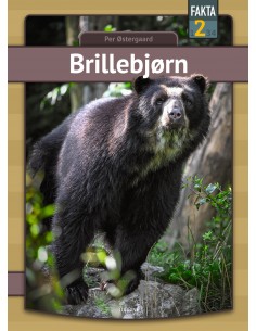 Brillebjørn