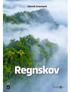 Regnskov