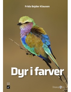 Dyr i farver