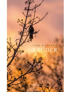 Etuder