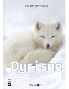 Dyr i sne