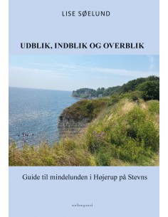 Udblik, indblik og overblik