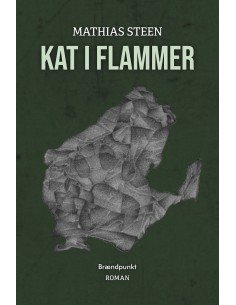 Kat i flammer