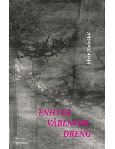 Enhver våbenfør dreng