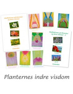 Planternes indre visdom