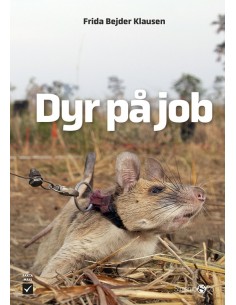 Dyr på job