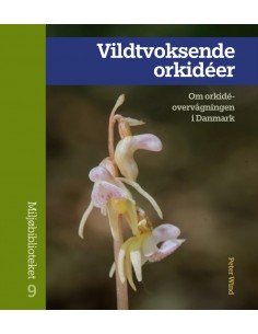 Vildtvoksende orkidéer