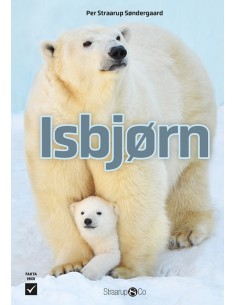 Isbjørn