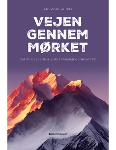 Vejen gennem mørket