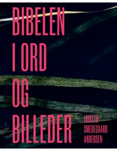 Bibelen i ord og billeder